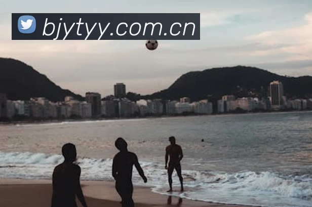 亚搏app登录入口发展历程